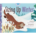 Sizing Up Winter
