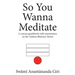 So You Wanna Meditate: A concise guidebook with commentary on the Vijnana Bhairava Tantra