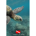 Diver's Log Book: scuba diving log book 100 dives