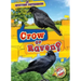 Crow or Raven?