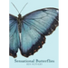 Sensational Butterflies