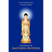 Thinking of Amit Bha Buddha
