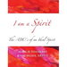 I Am Spirit: The ABCs of an Ideal Spirit
