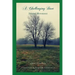 A Challenging Duet: A Novel in Four Parts: Second Movement