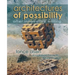 Architectures of Possibility: After Innovative Writing