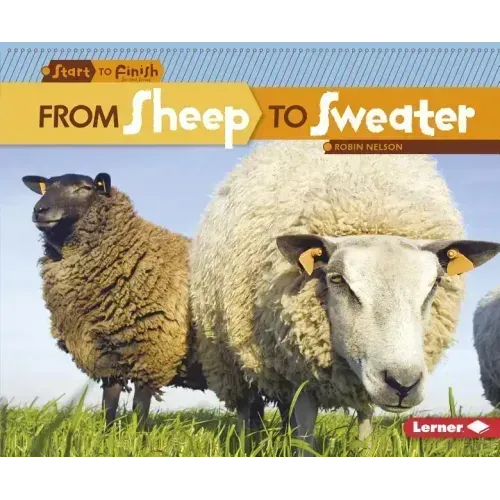 From Sheep to Sweater