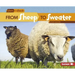 From Sheep to Sweater