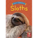 Sloths