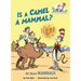 Is a Camel a Mammal? All about Mammals