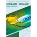 Gourami - Opaline: From Novice to Expert. Comprehensive Aquarium Fish Guide