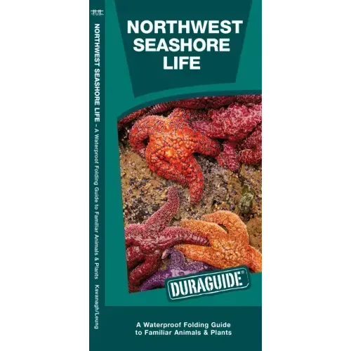 Northwest Seashore Life: A Folding Guide to Familiar Animals & Plants