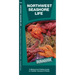 Northwest Seashore Life: A Folding Guide to Familiar Animals & Plants