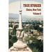 True Stories Elmira, New York Volume 6