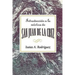 Introduccion a la Mistica de San Juan de La Cruz Aeth: An Introduction to the Mysticism of St. John of the Cross Aeth (Spanish)