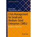 Crisis Management for Small and Medium-Sized Enterprises (Smes): Strategies for External Crises