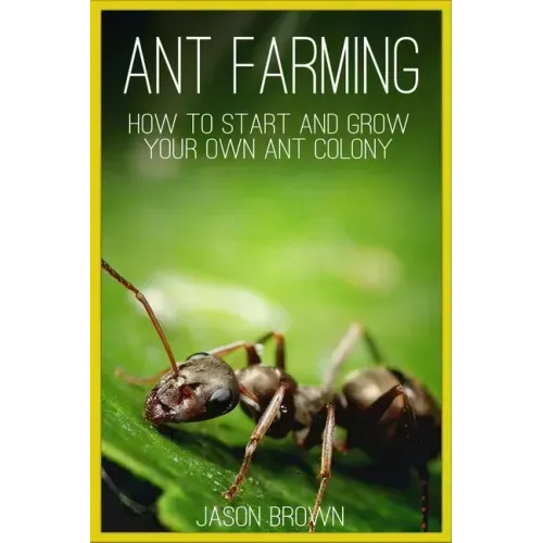 Ant Farming: How to Start and Grow Your Own Ant Colony