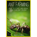 Ant Farming: How to Start and Grow Your Own Ant Colony