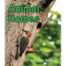 Animal Homes