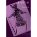 Bardo: Volume 1998