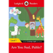 Pablo: Are You Sad, Pablo? - Ladybird Readers Level 1