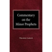 Commentary on the Minor Prophets