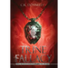 Trine Fallacy: The Kinderra Saga: Book 2