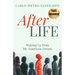 AfterLIFE: Waking Up from My American Dream