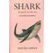 Shark: In Peril in the Sea