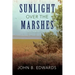 Sunlight Over the Marshes