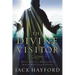 The Divine Visitor: What Really Happened When God Came Down