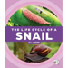 The Life Cycle of a Snail