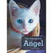 The Adventures of Angel: A Kitten's Story