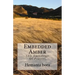 Embedded Amber: Soul- in Search of the Solace
