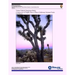 Visitor Vehicle Emissions Study: Comparison of Traffic Data at Three California National Parks- Final Report