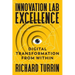 Innovation Lab Excellence: Digital Transformation from Within