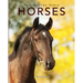 Horses: Amazing Pictures & Fun Facts on Animals in Nature