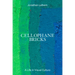 Cellophane Bricks: A Life in Visual Culture