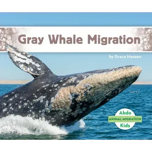 Gray Whale Migration