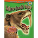 Sabre-Tooth Tiger