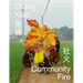 Zhang Xiao: Community Fire