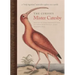 The Curious Mister Catesby: A Truly Ingenious Naturalist Explores New Worlds