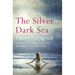 The Silver Dark Sea