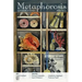 Metaphorosis May 2023