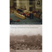 International Organizations and Environmental Protection: Conservation and Globalization in the Twentieth Century