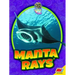 Manta Rays
