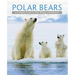 Polar Bears: A Complete Guide to Their Biology and Behavior