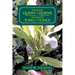 The Black Queen of Queens Is Solomon'S Song of Songs