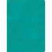 CSB Apologetics Study Bible, Teal Leathertouch