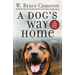 A Dog's Way Home