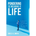Pondering the Meaning of Life: A Skeptic's Thoughts on Christian Faith, God, and the Afterlife